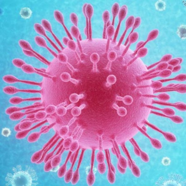 coronavirus-ecm